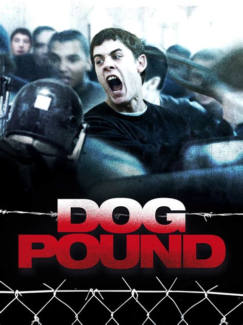 cast of dog pound|Dog Pound Cast List: Actors and Actresses from Dog。